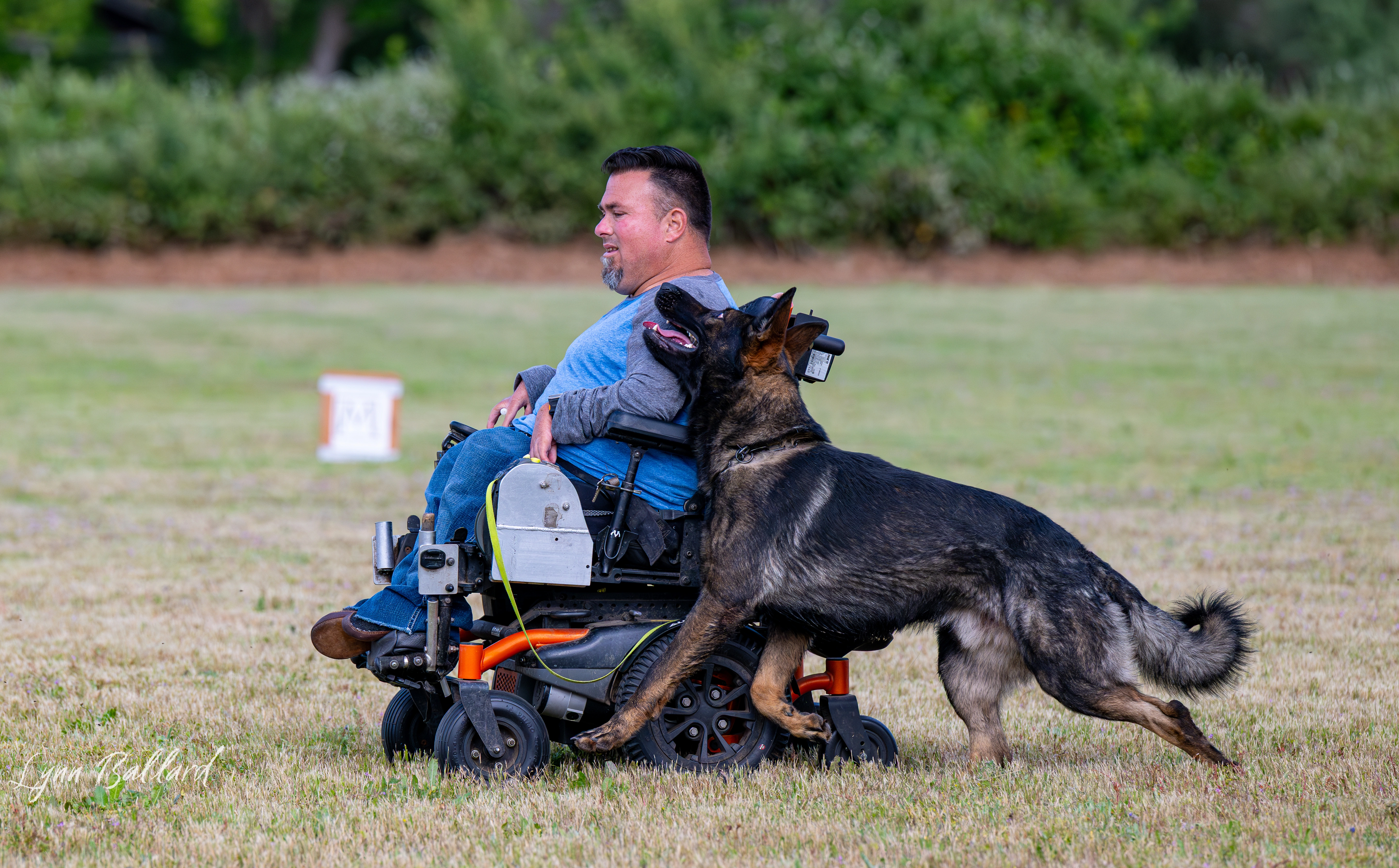 Jason Lake dog lover website photo