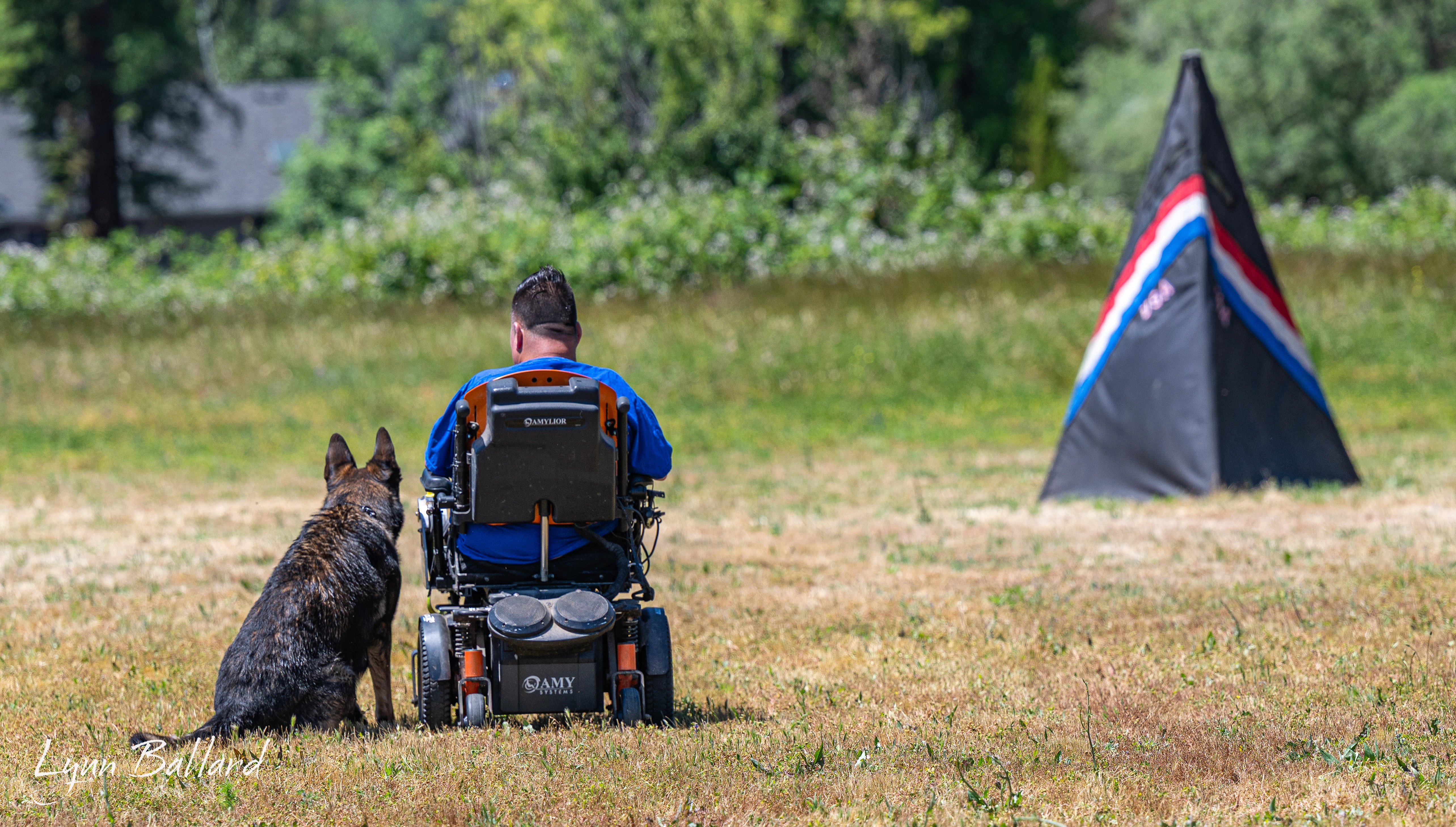 Jason Lake focused dog training photo