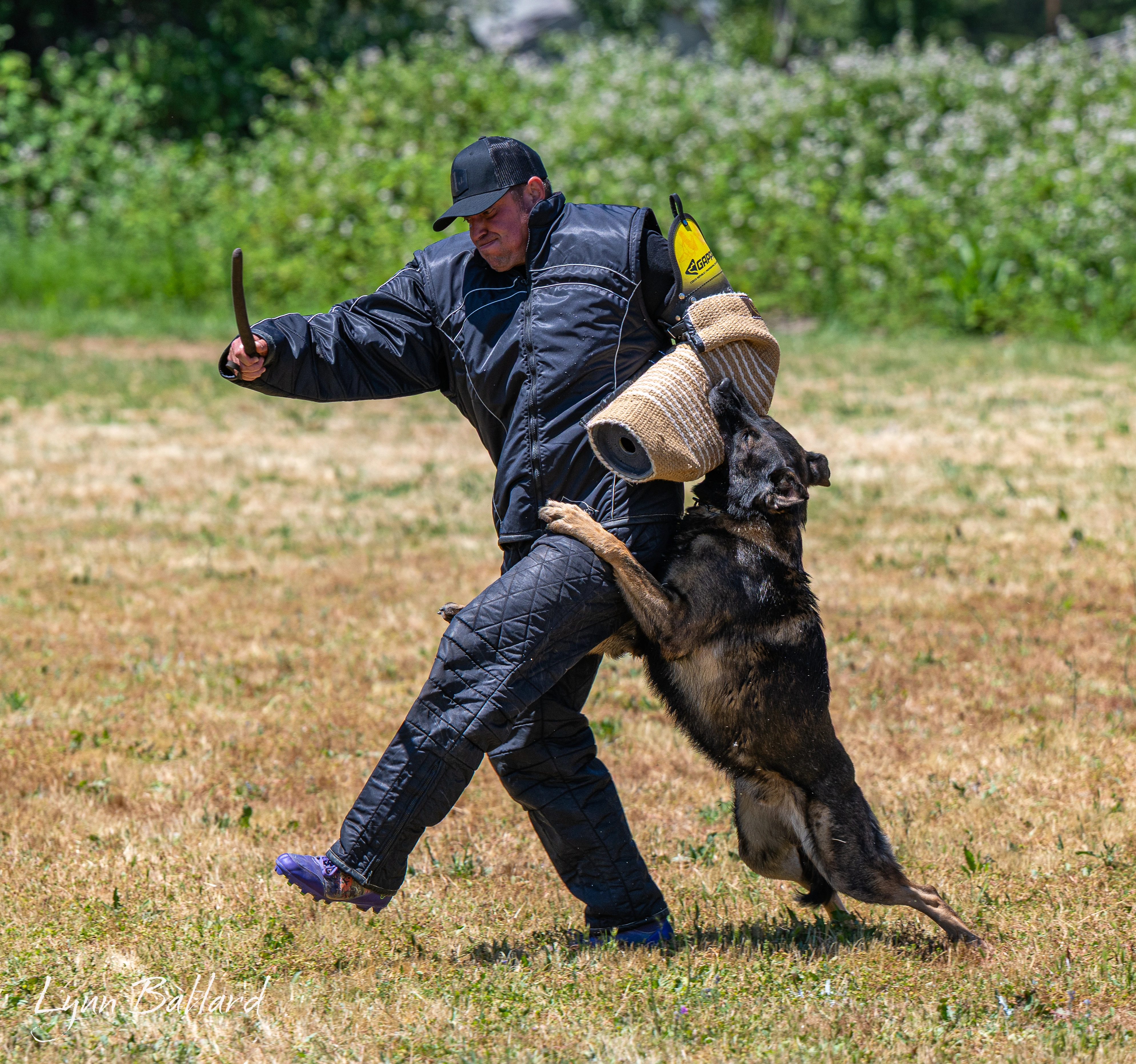 Jason Lake dog training lifestyle photo