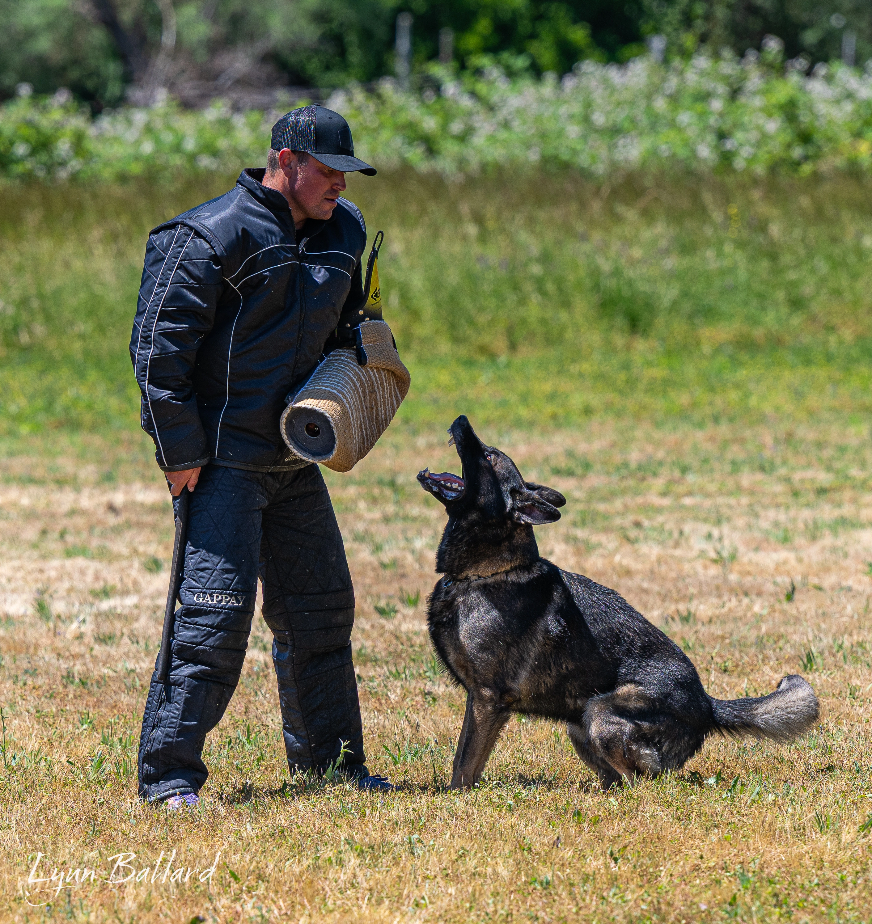 Jason Lake dog lover website photo