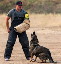 Meet Jason Lake dog lover and trainer