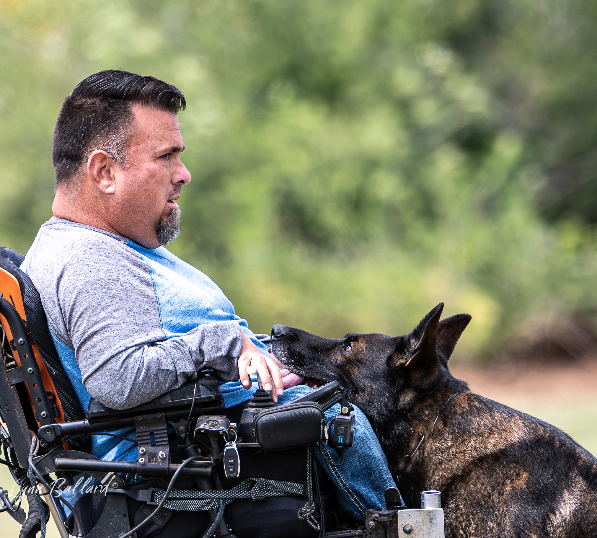 Jason Lake working dog training photo