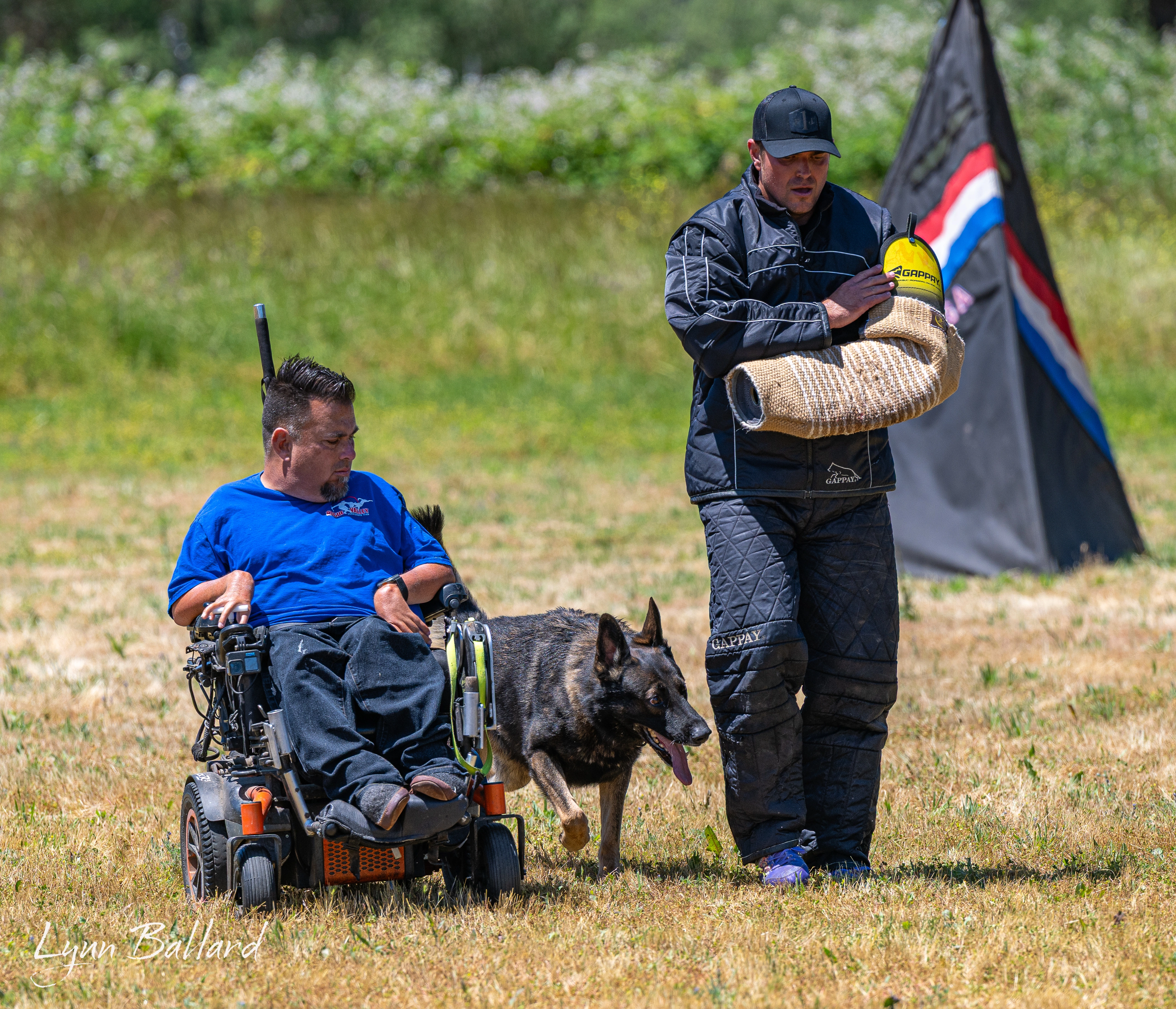 Jason Lake focused dog training photo