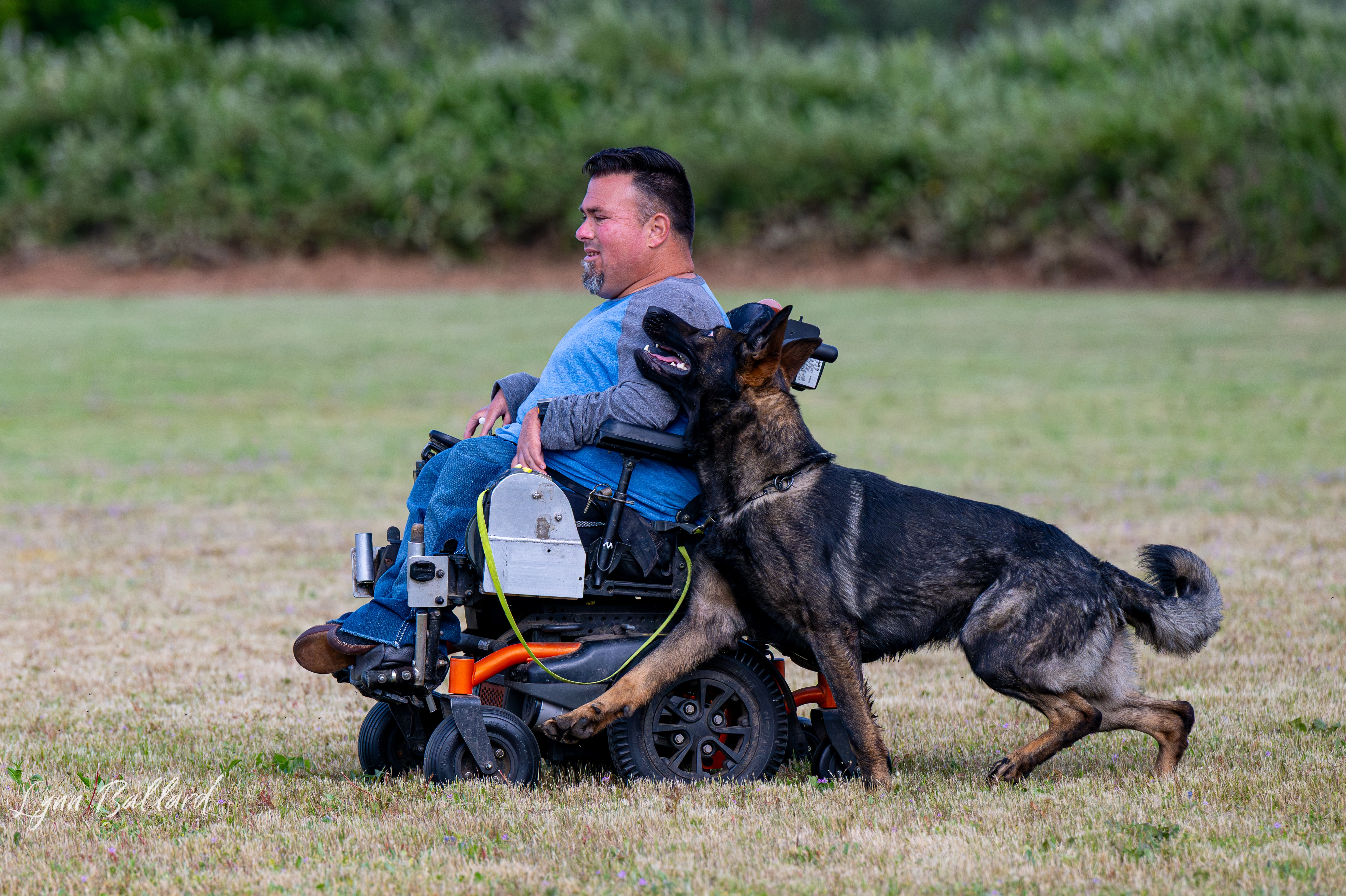 Jason Lake focused dog training photo