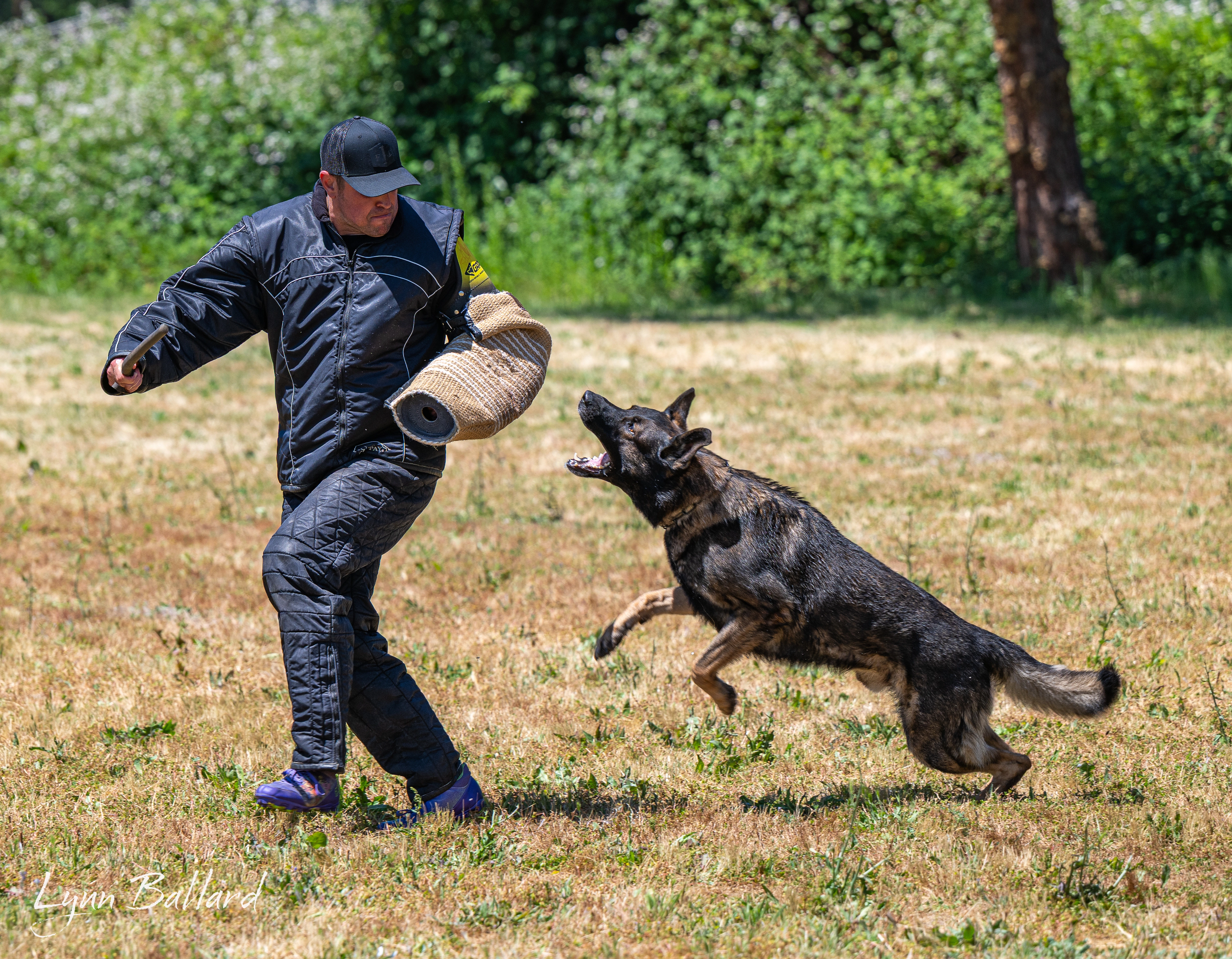 Jason Lake dog lover website photo