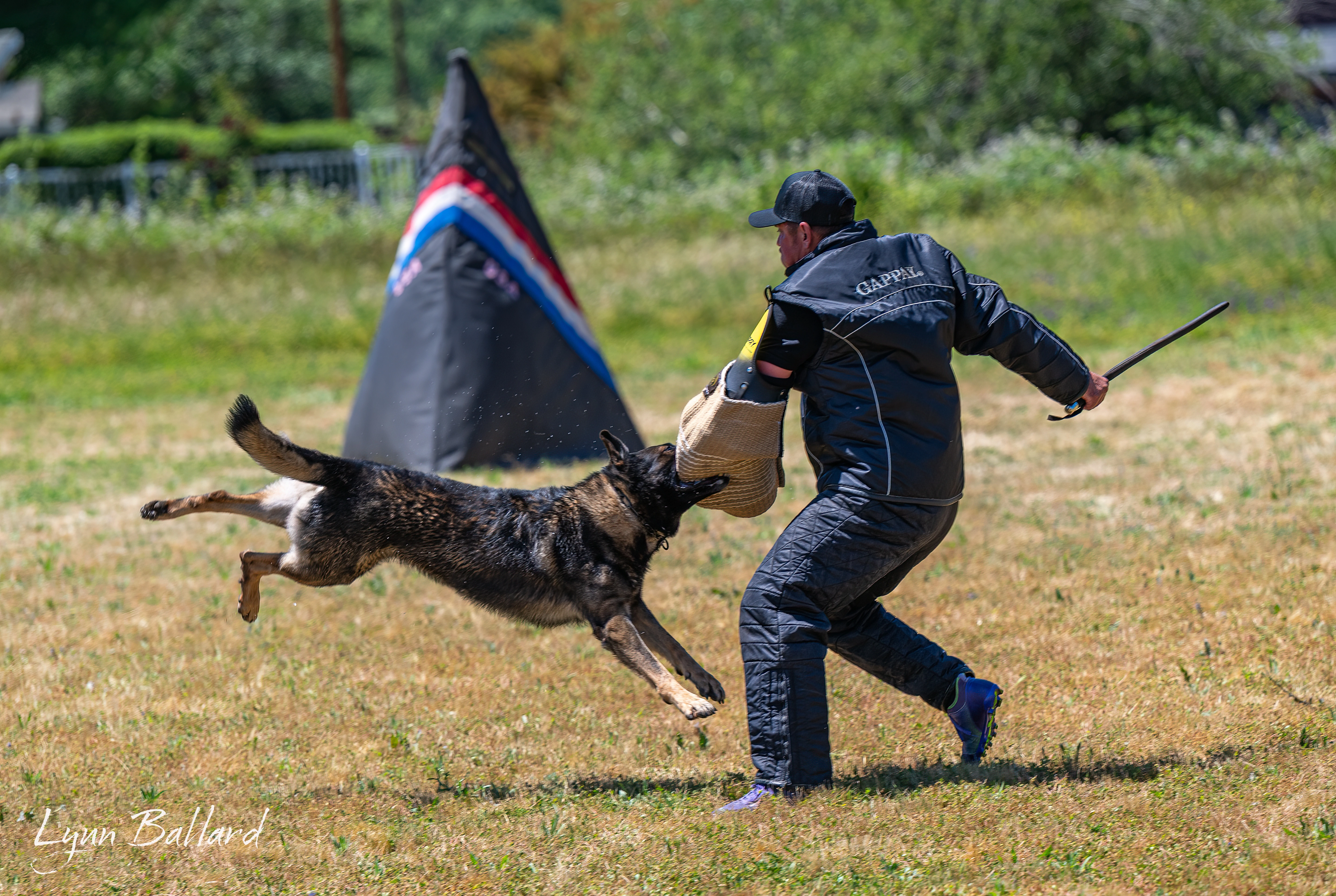Jason Lake working dog training photo