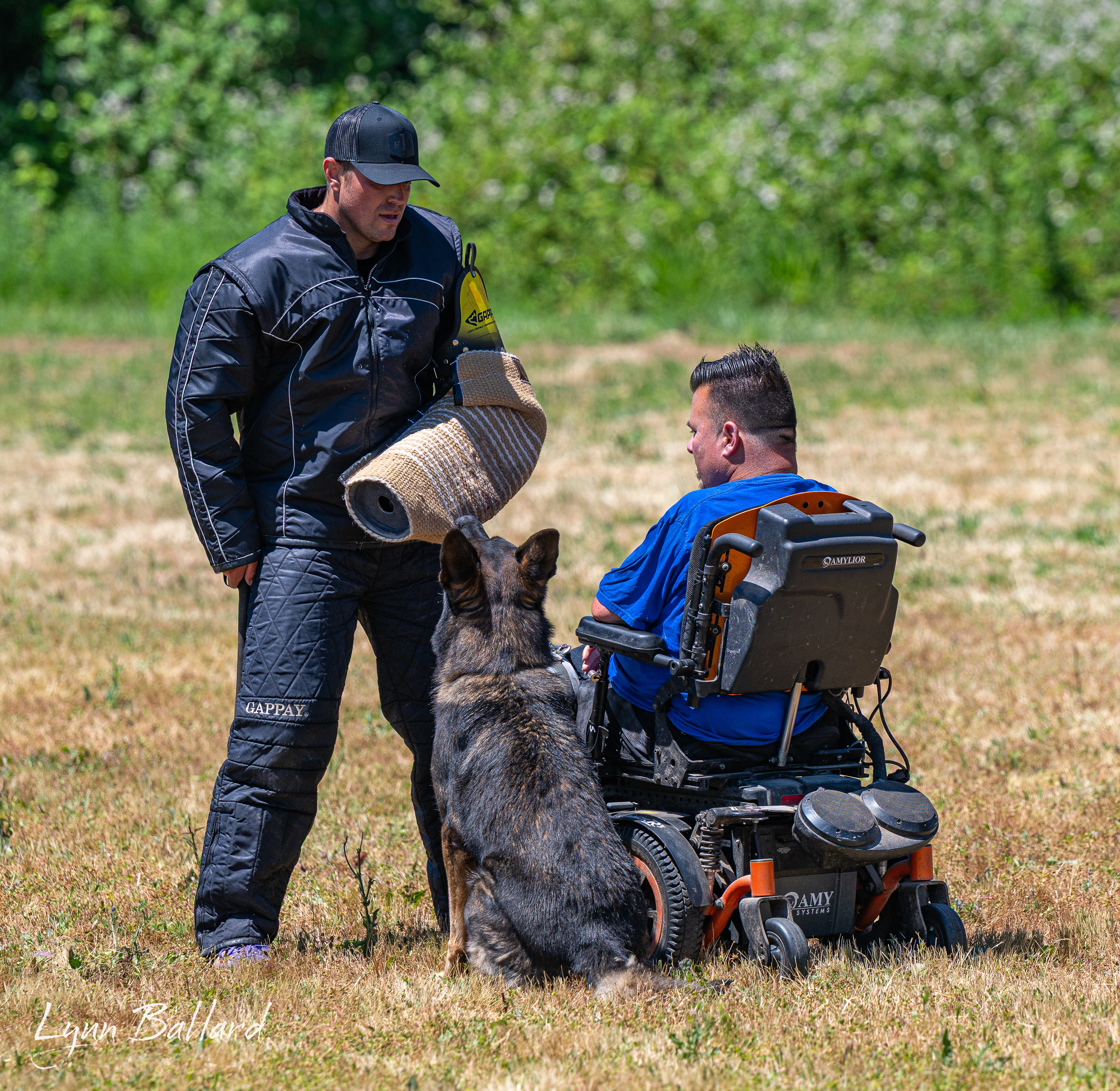 Jason Lake focused dog training photo