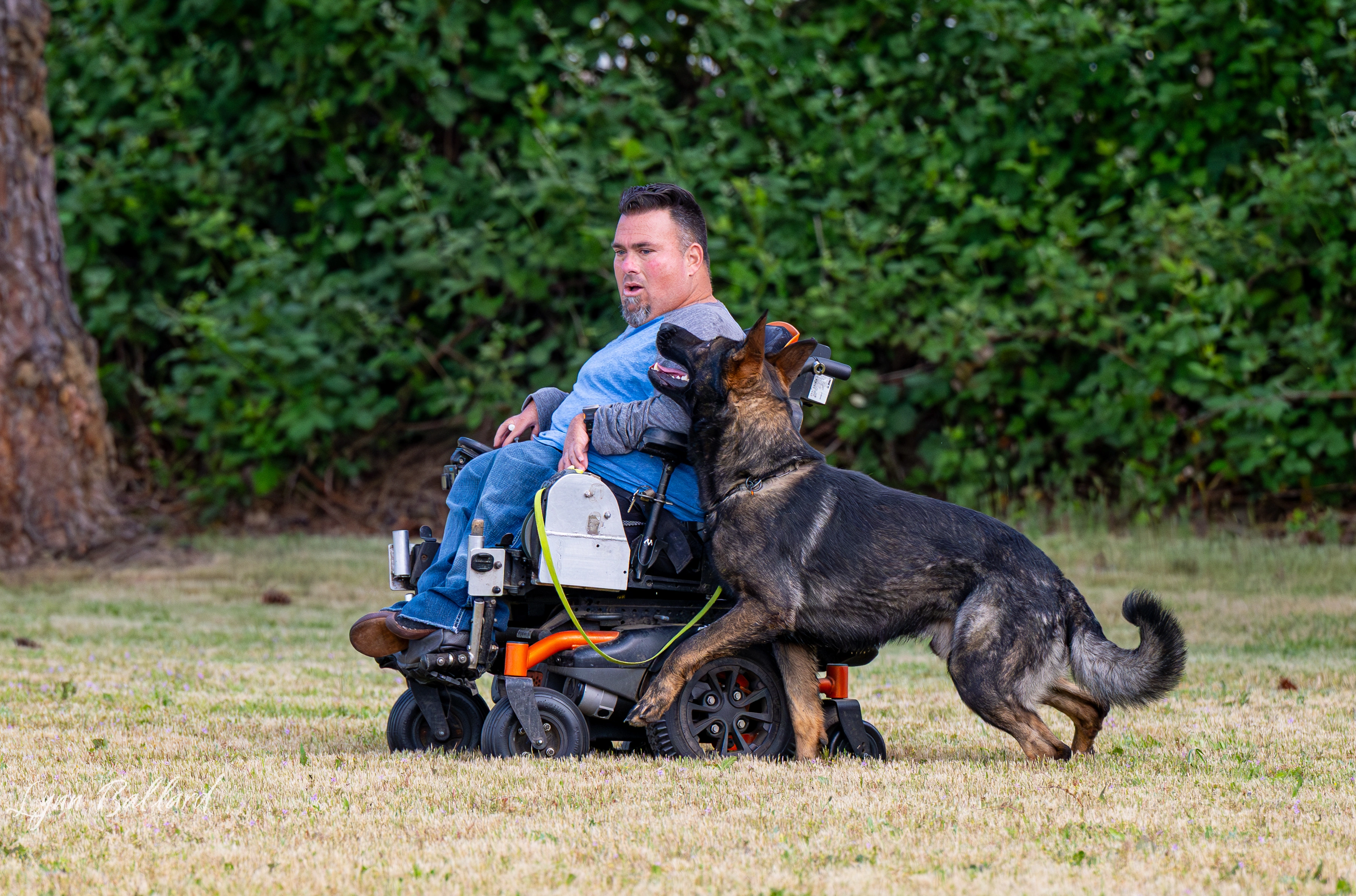 Jason Lake dog training lifestyle photo