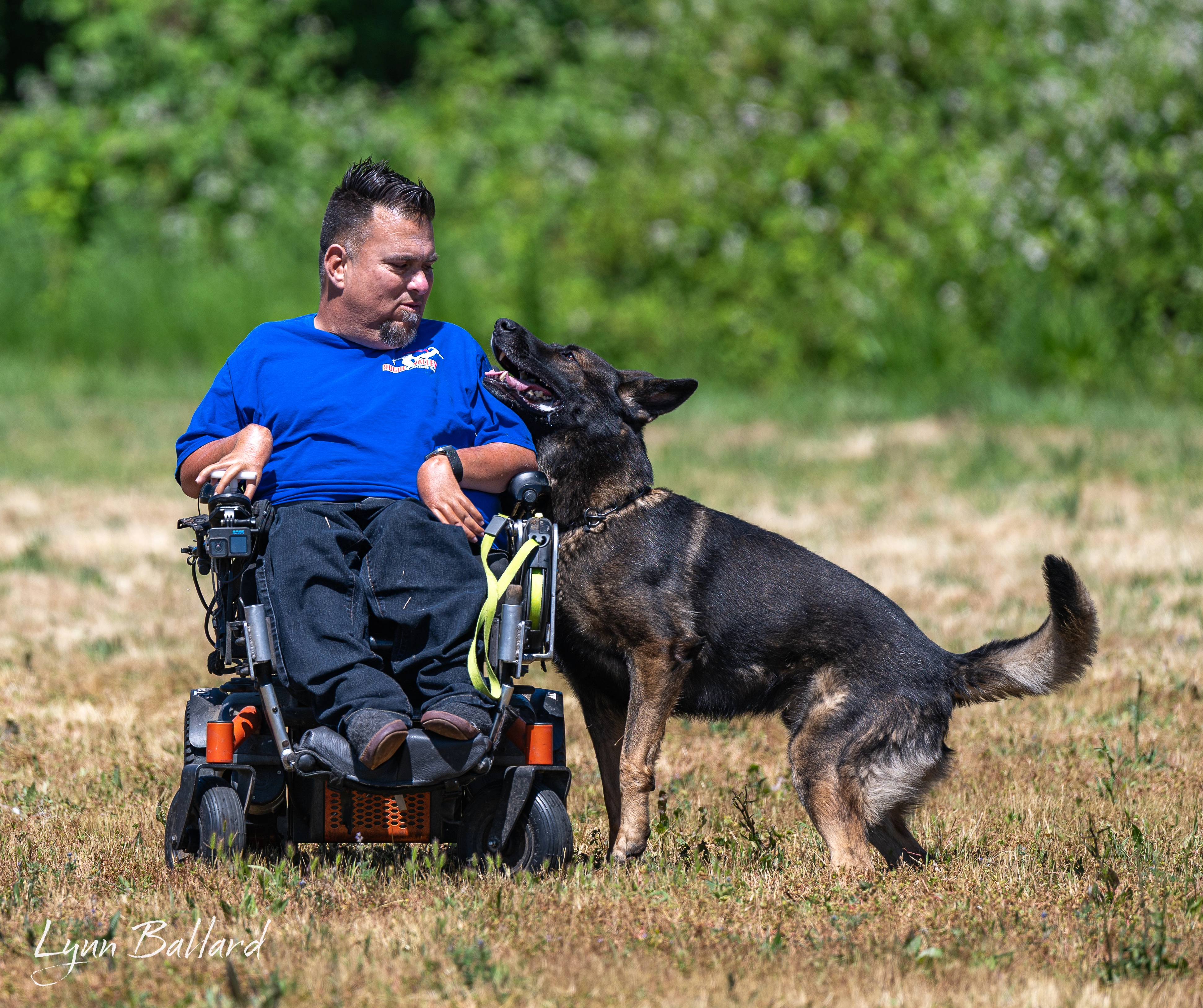 Jason Lake working dog training photo