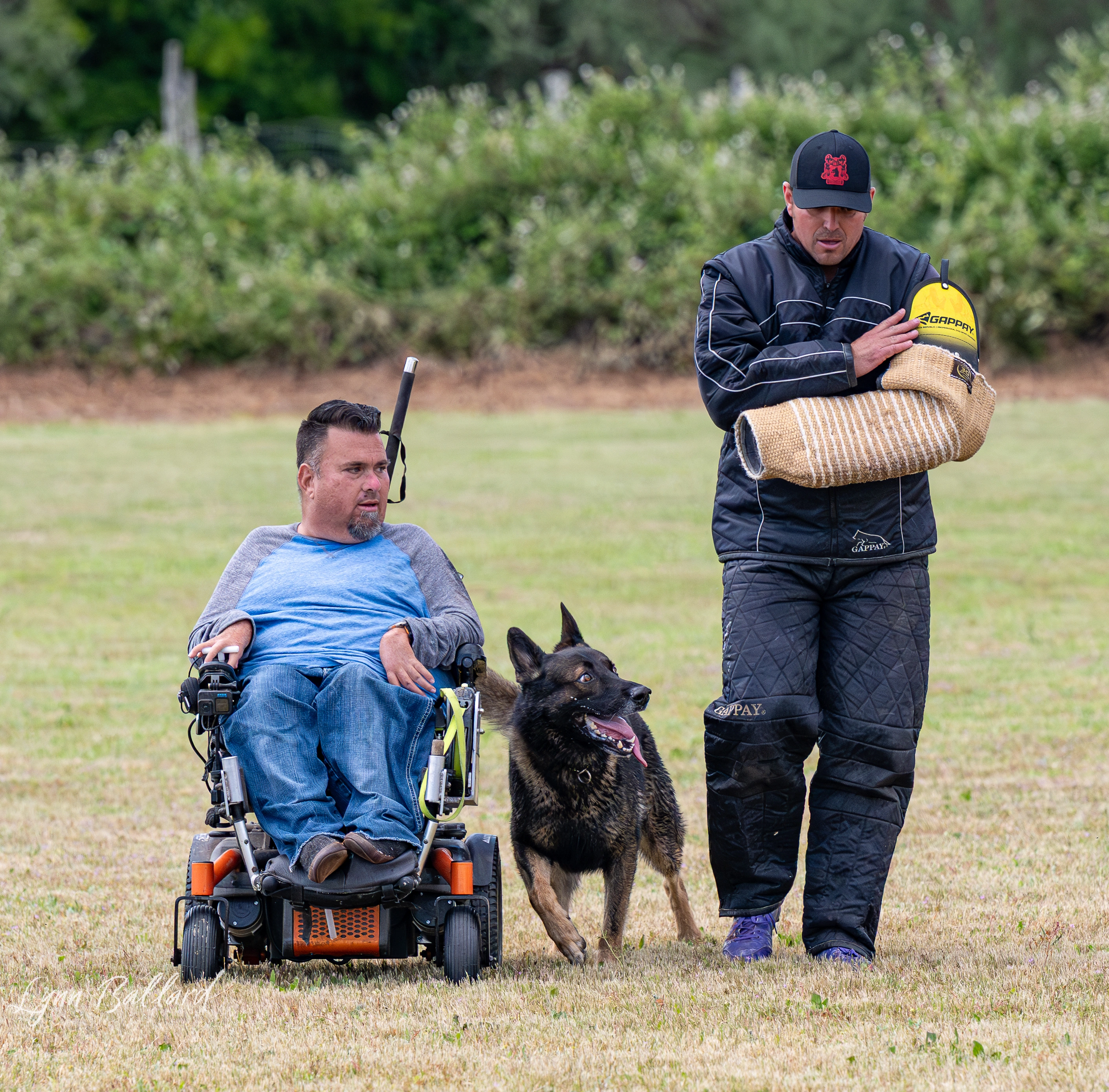 Jason Lake dog lover website photo