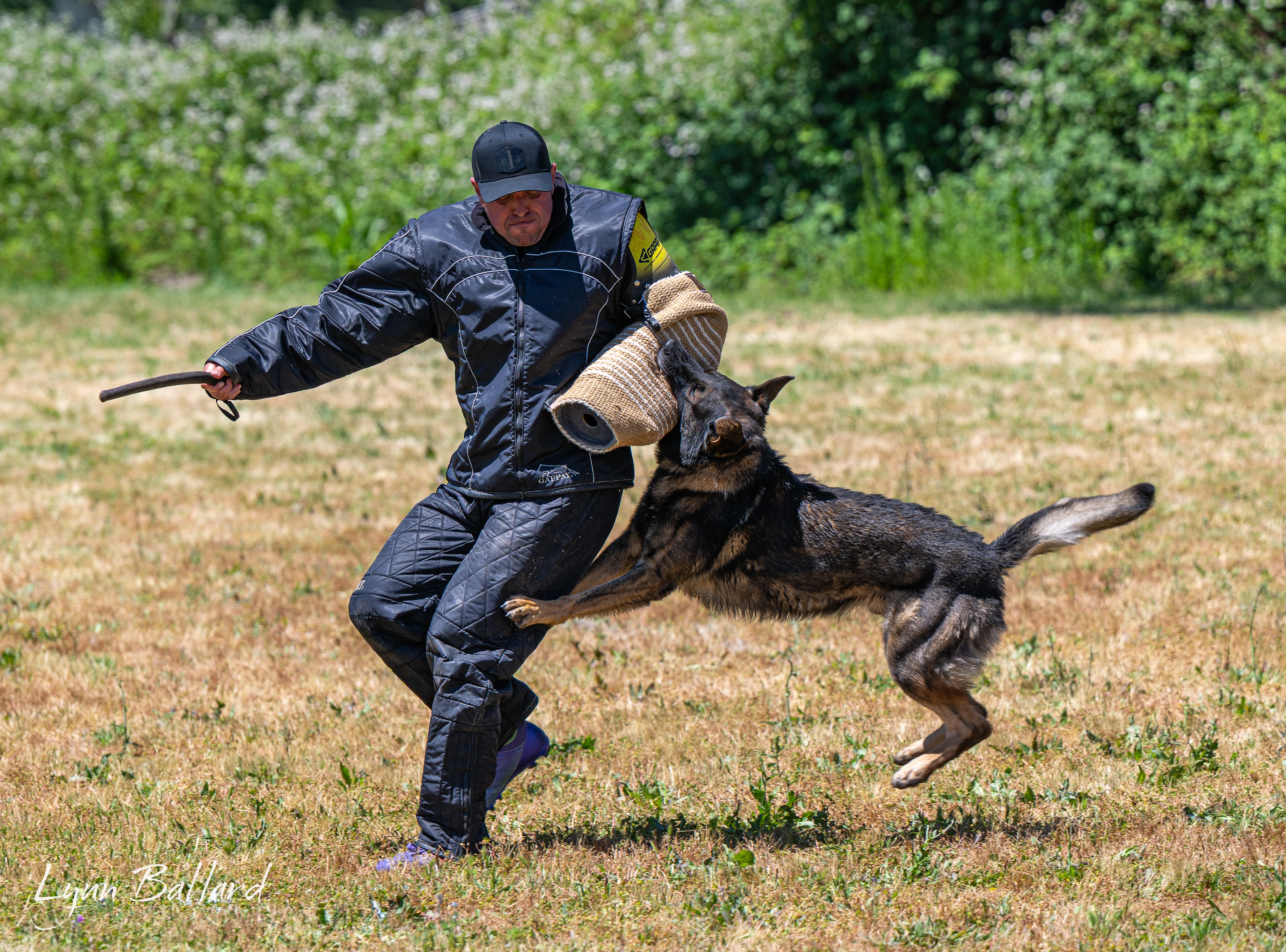 Meet Jason Lake dog lover and trainer